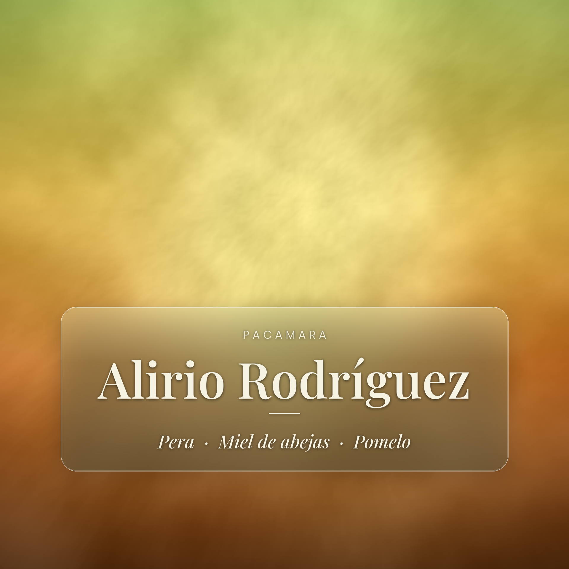 Alirio Rodríguez - Pacamara