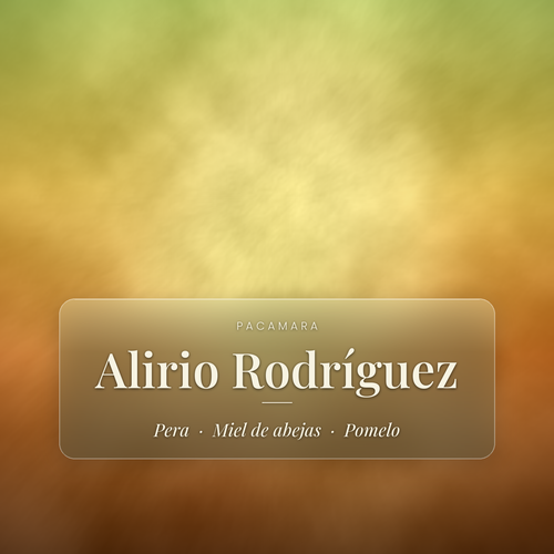 Alirio Rodríguez - Pacamara