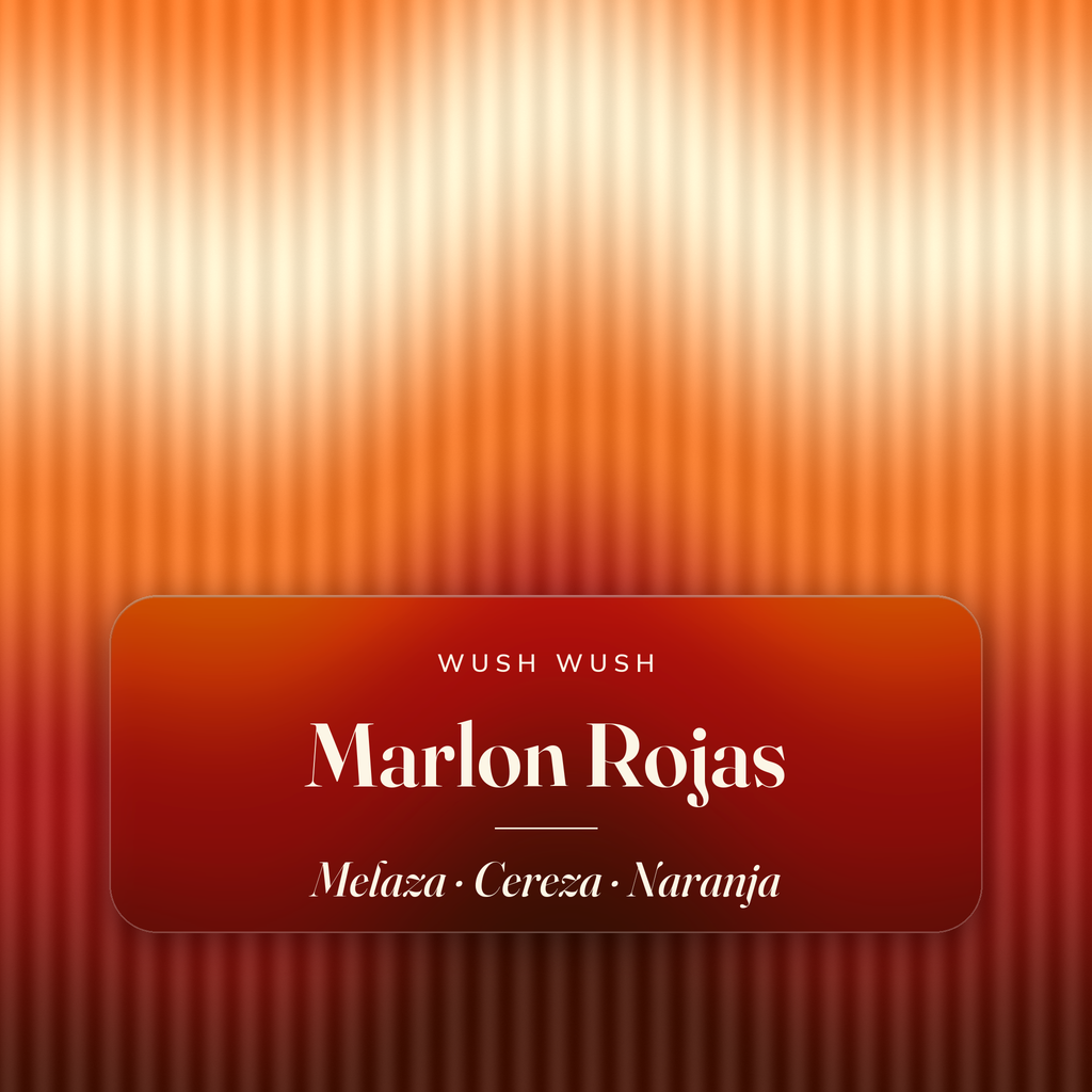 Marlon Rojas — notas de cata: Melaza, Cereza, Naranja