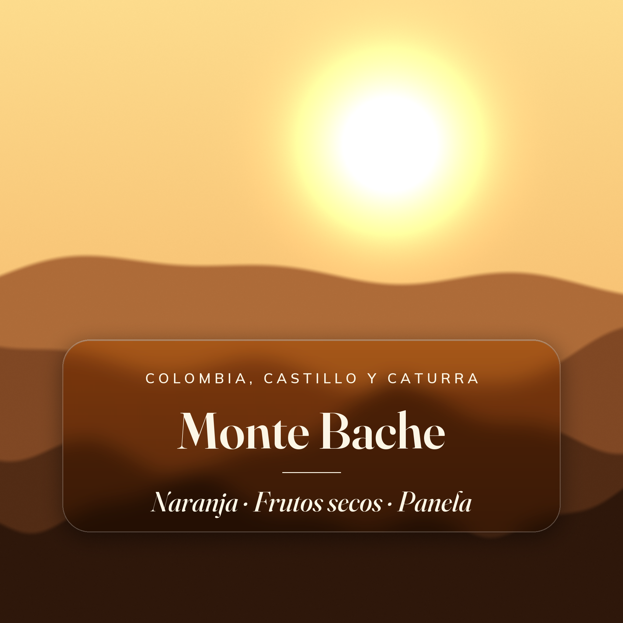 Monte Bache — notas de cata: Naranja, Frutos secos, Panela