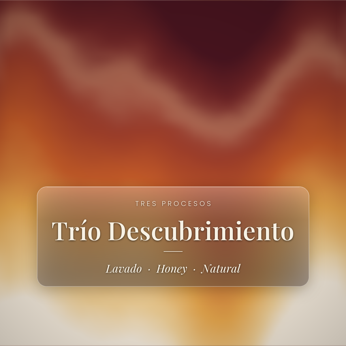 Trío Descubrimiento - Tres procesos: lavado, honey y natural
